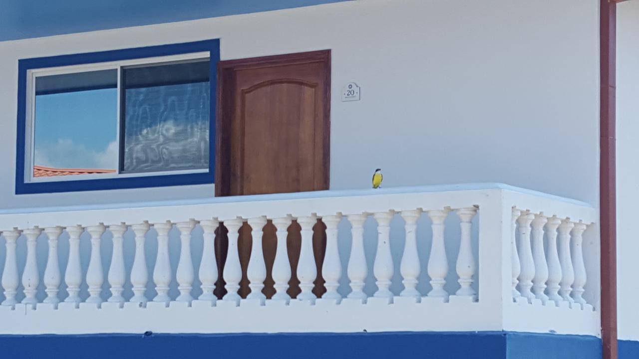 Hotel Grosseto Palma Real Loma المظهر الخارجي الصورة